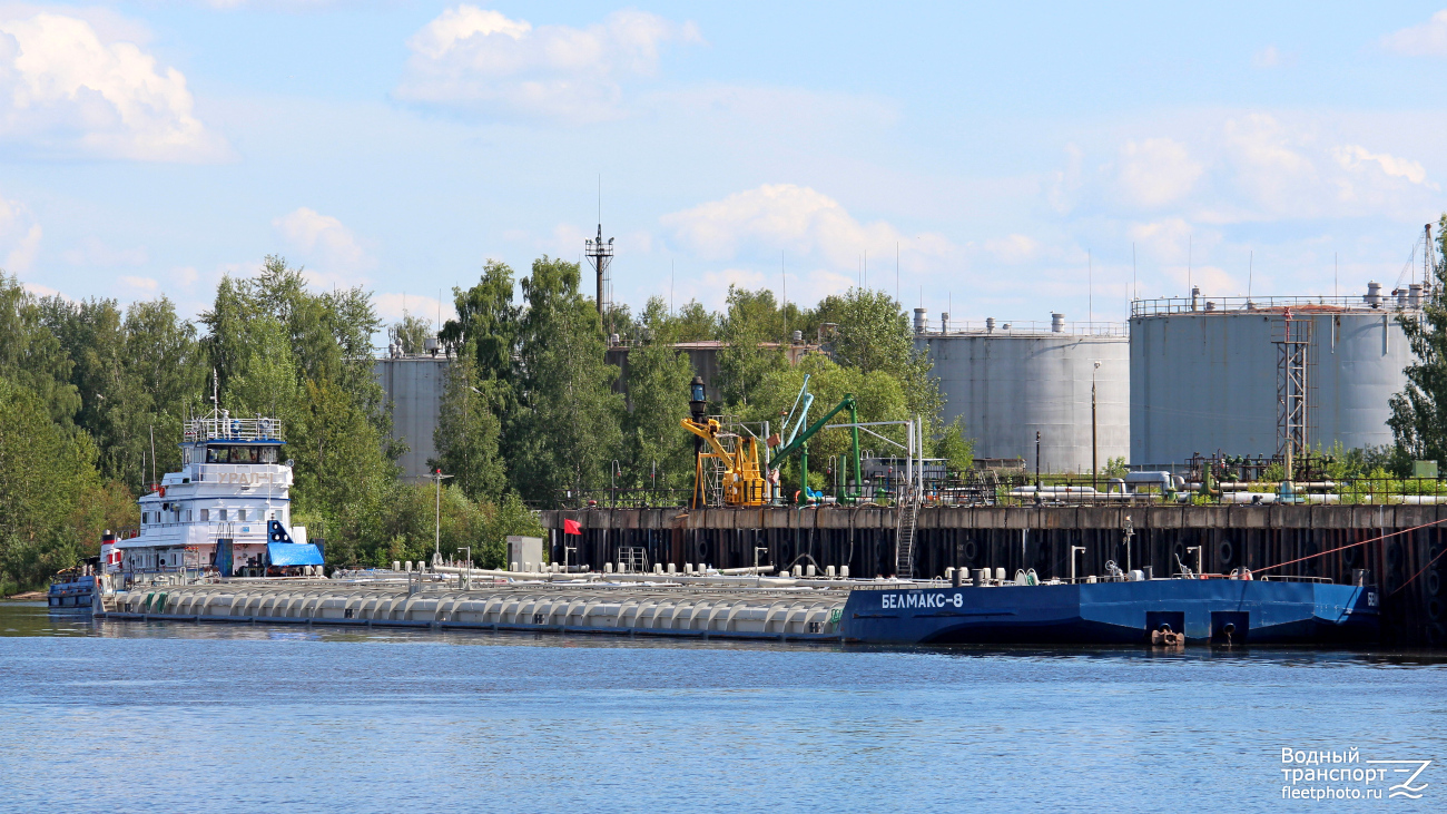 Белмакс 8