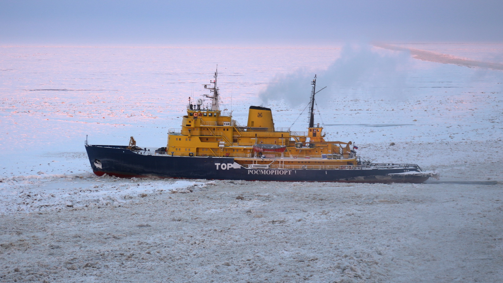 Тор