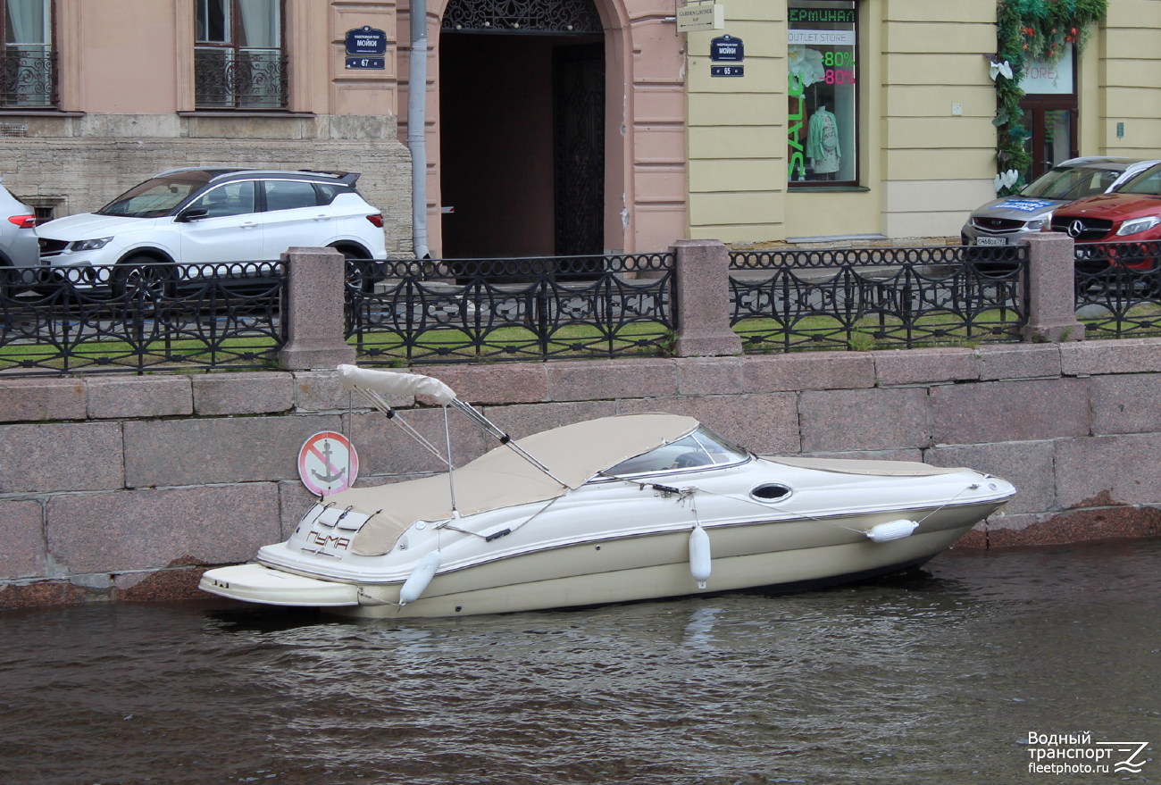 Пума