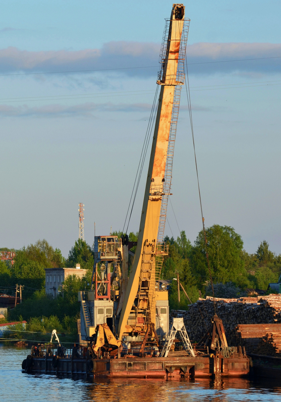 №569