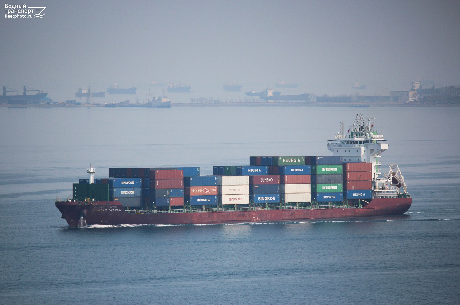 Qingdao Trader