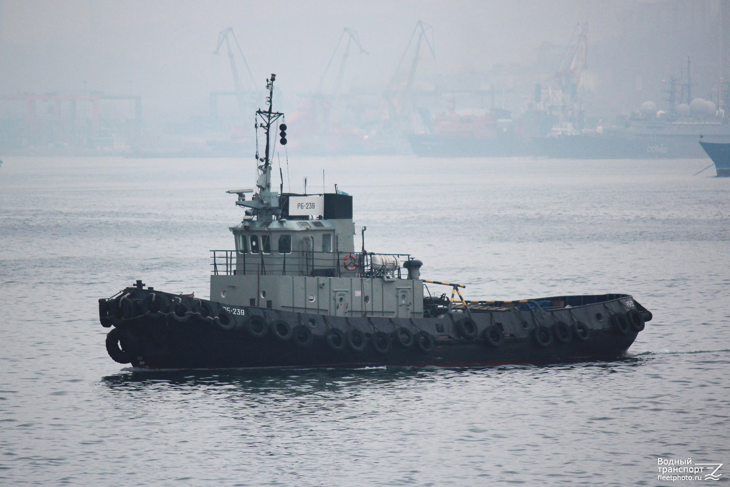 РБ-239