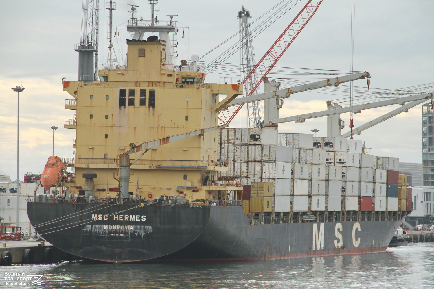 MSC Hermes