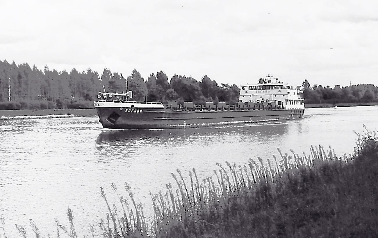 Елгава