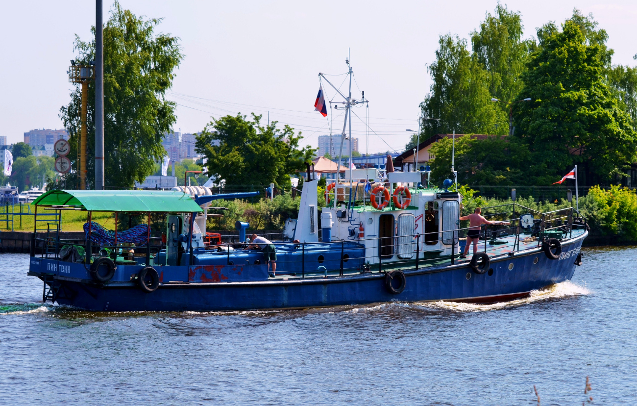 Пингвин