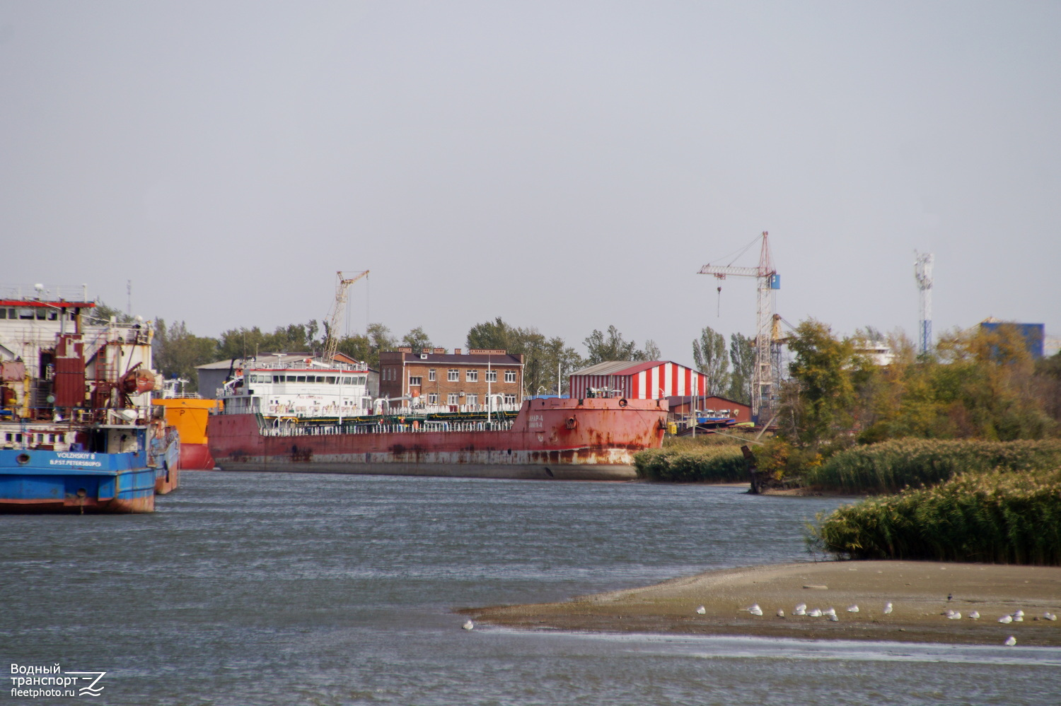 Санар-4