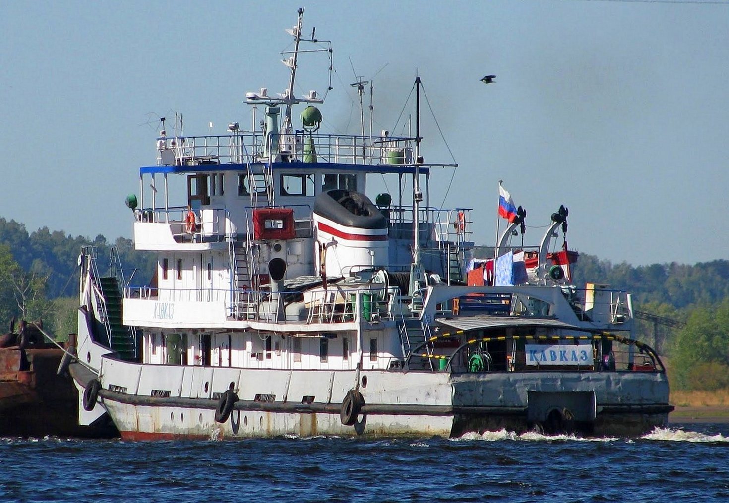 Кавказ
