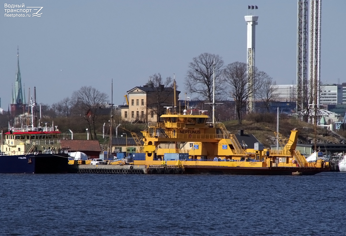 Neptunus