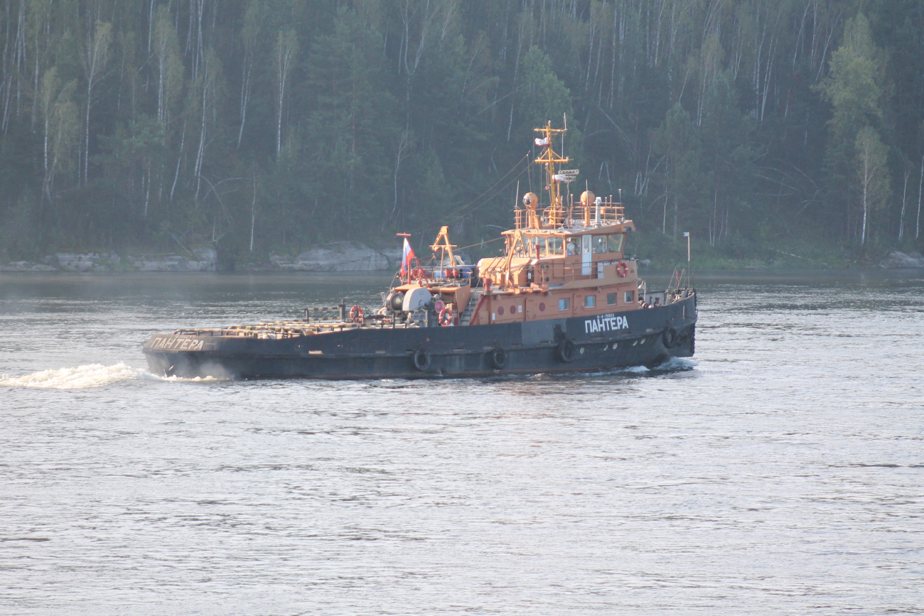 Пантера