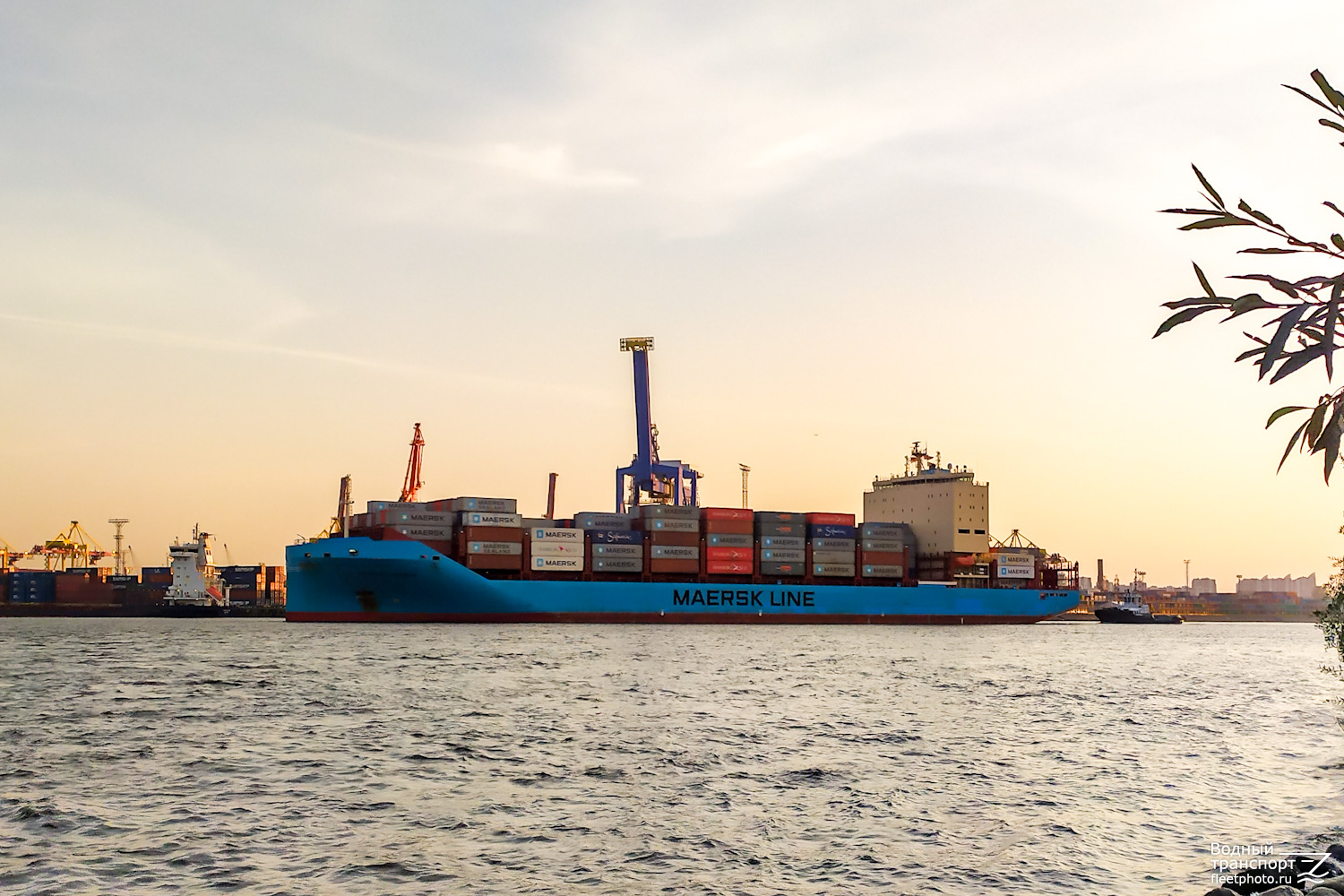 Vayenga Maersk
