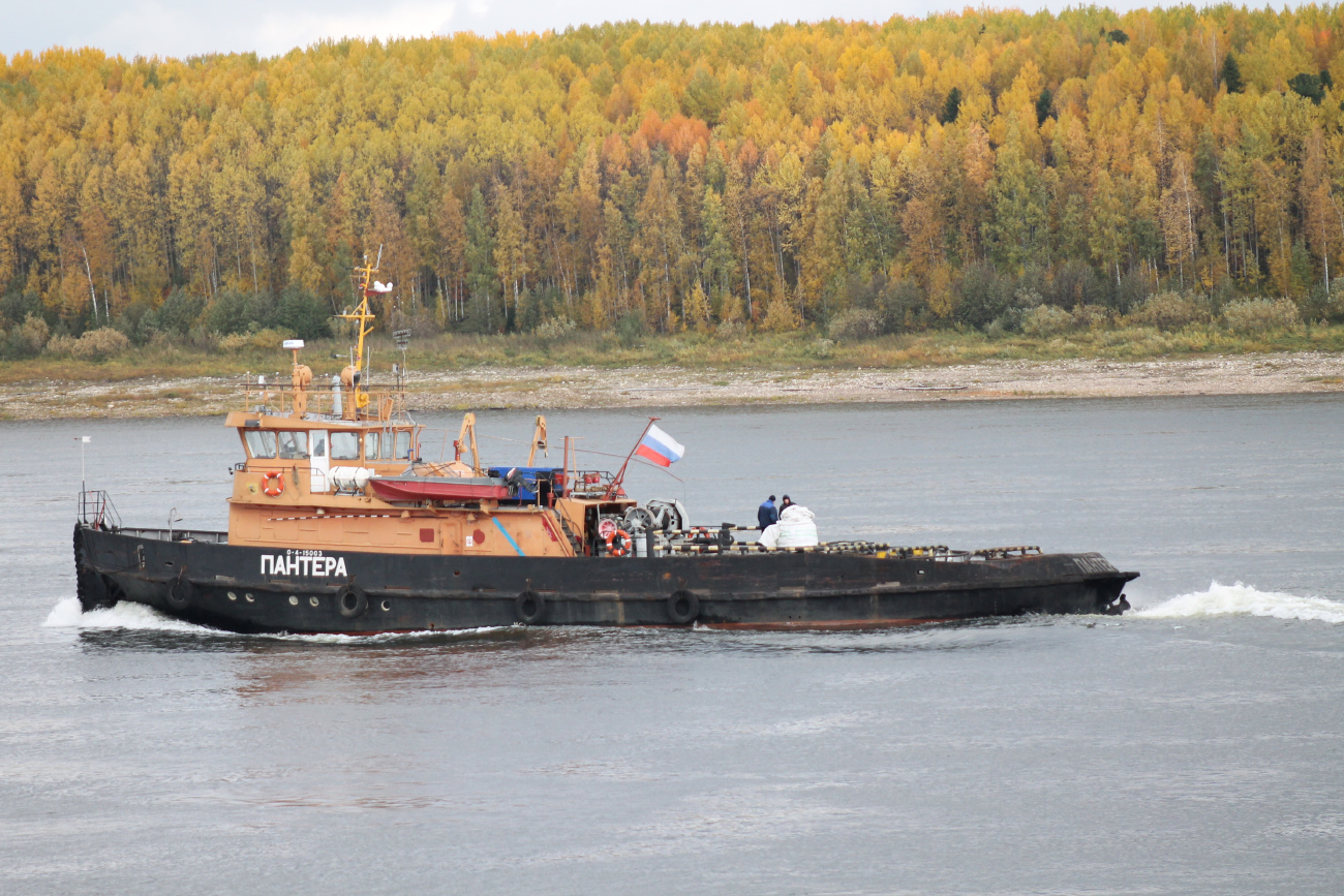 Пантера