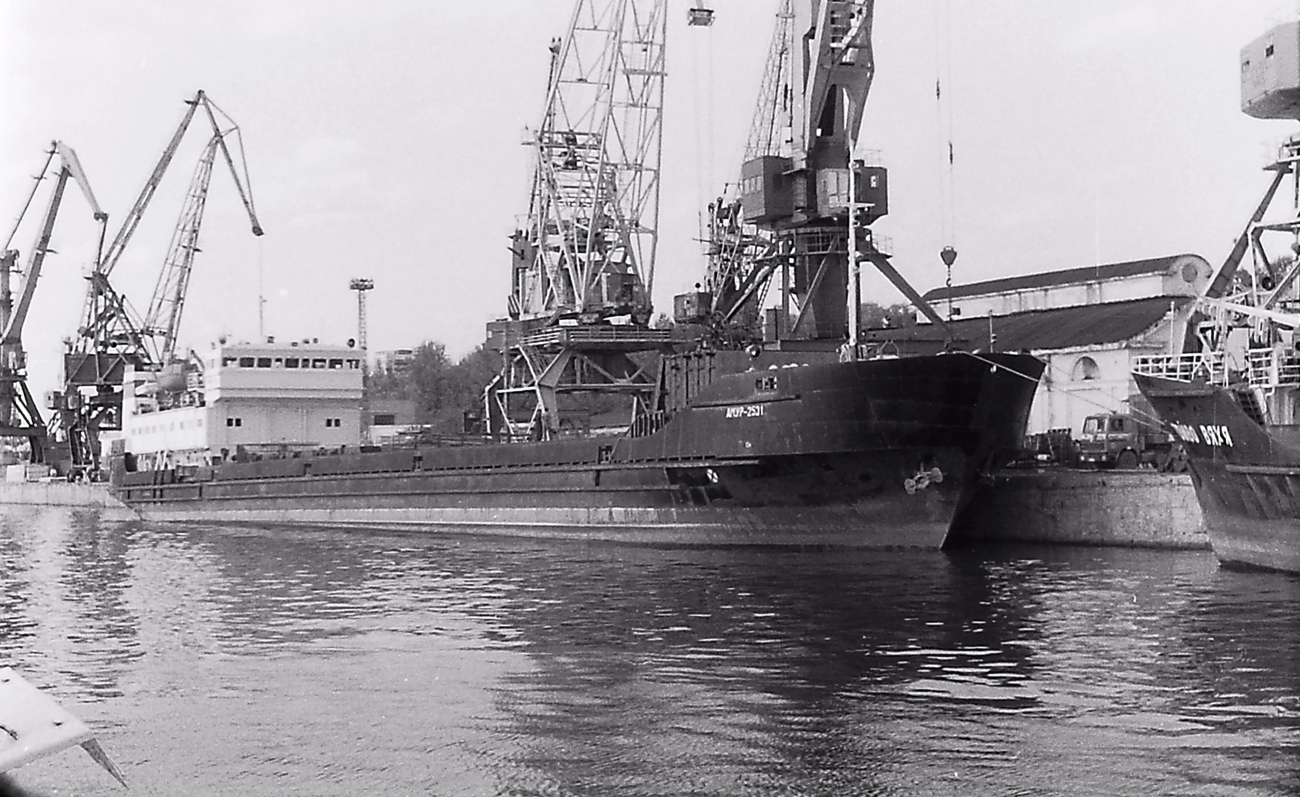 Амур-2531