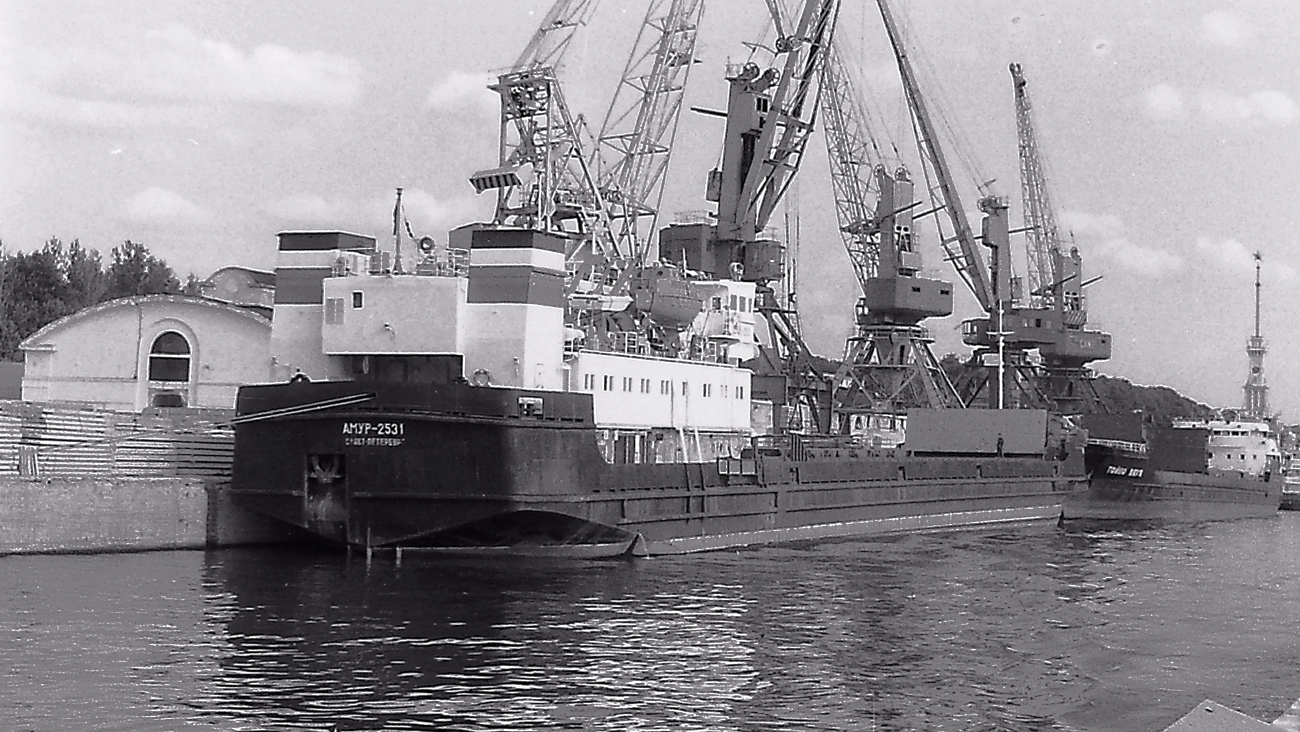 Амур-2531