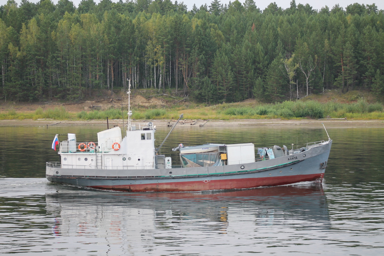 Азард