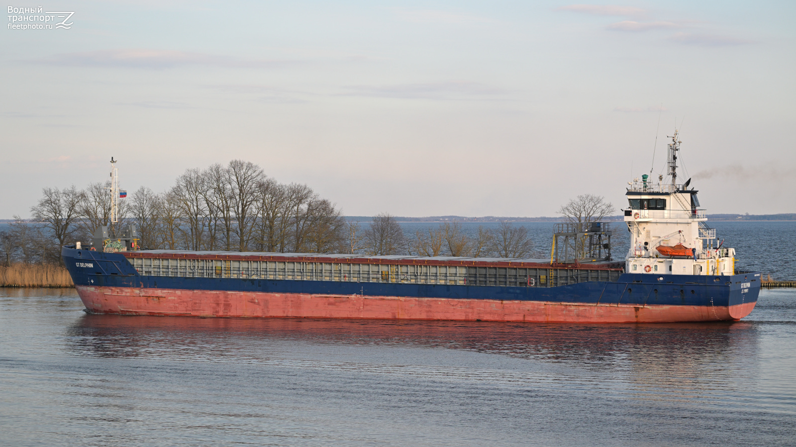 GT Delphin