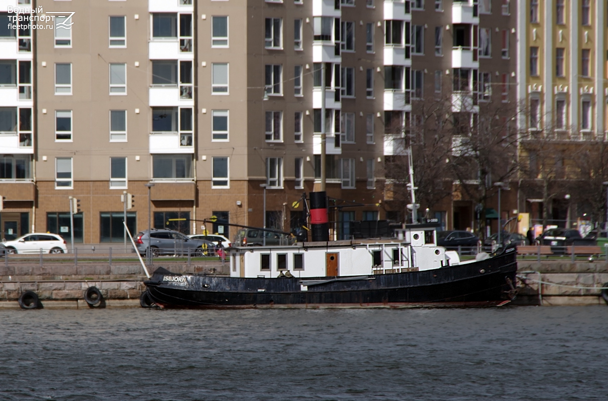Isbjörn