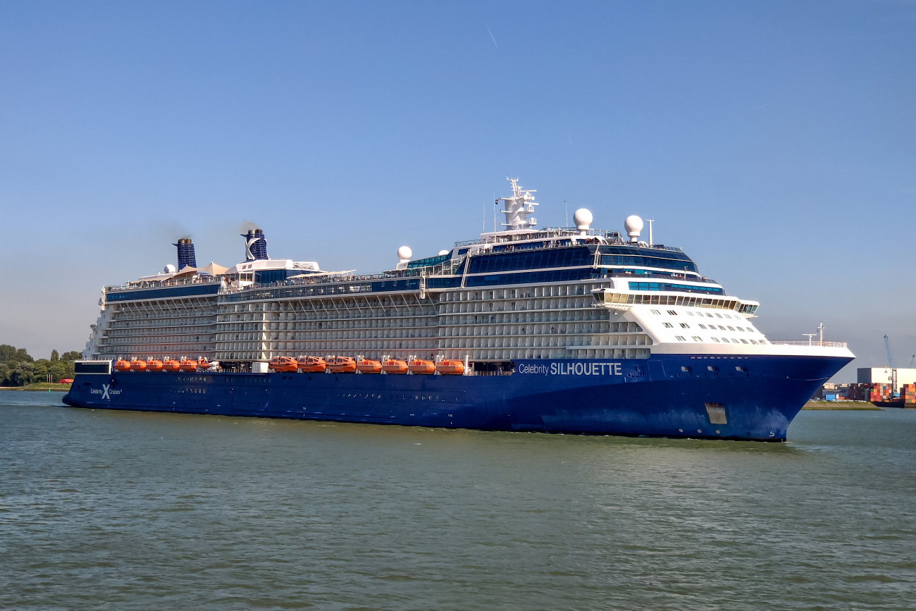 Celebrity Silhouette