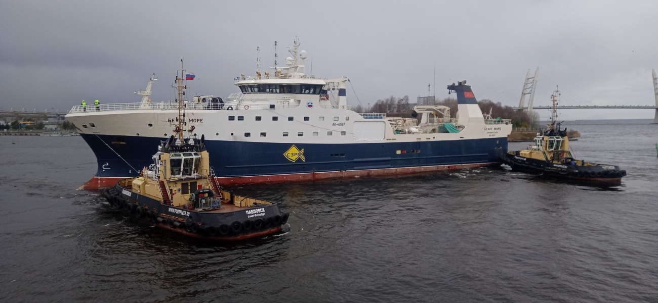 Павловск, Белое Море, Сестрорецк