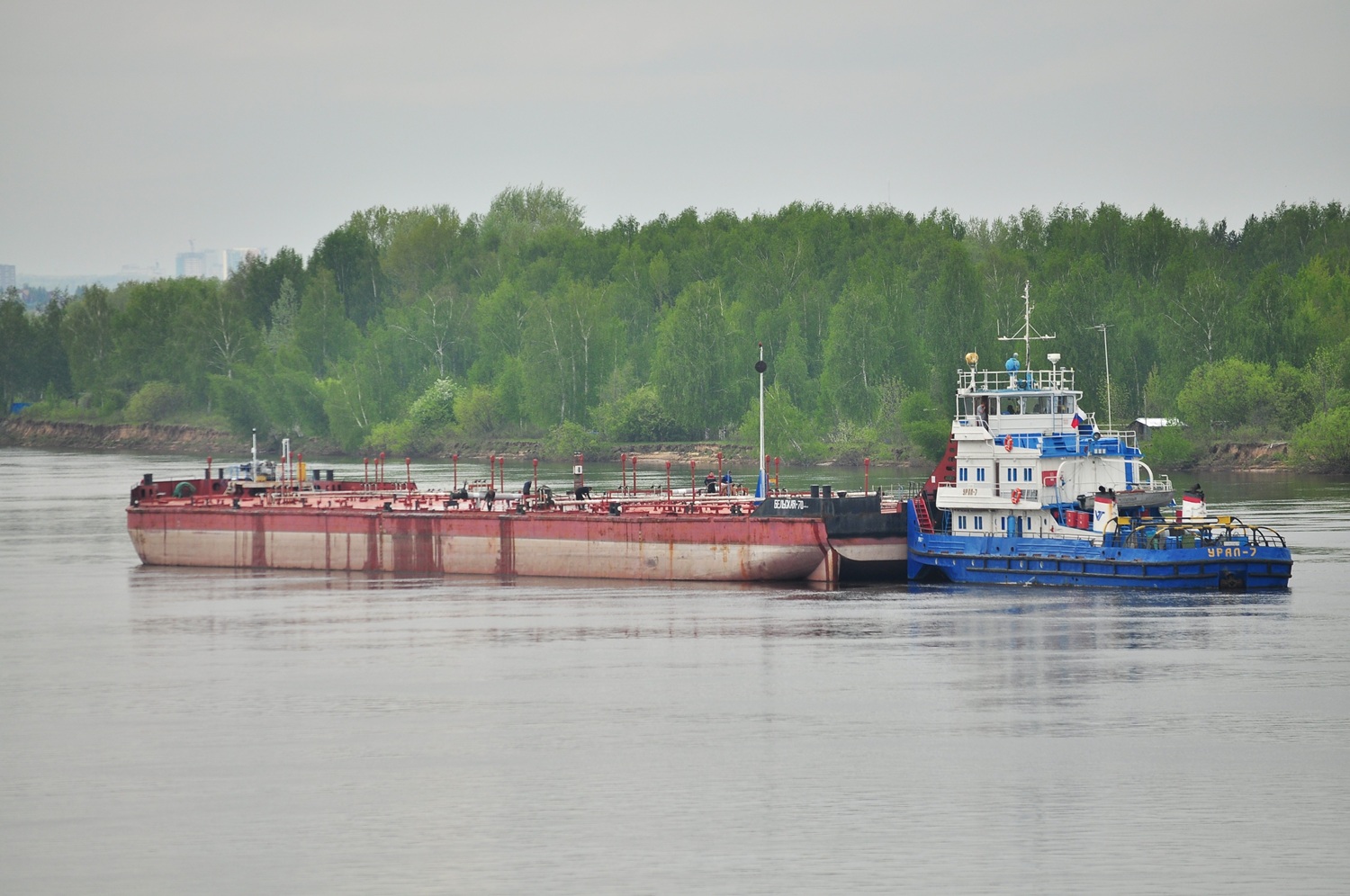 Бельская-70, Урал-7
