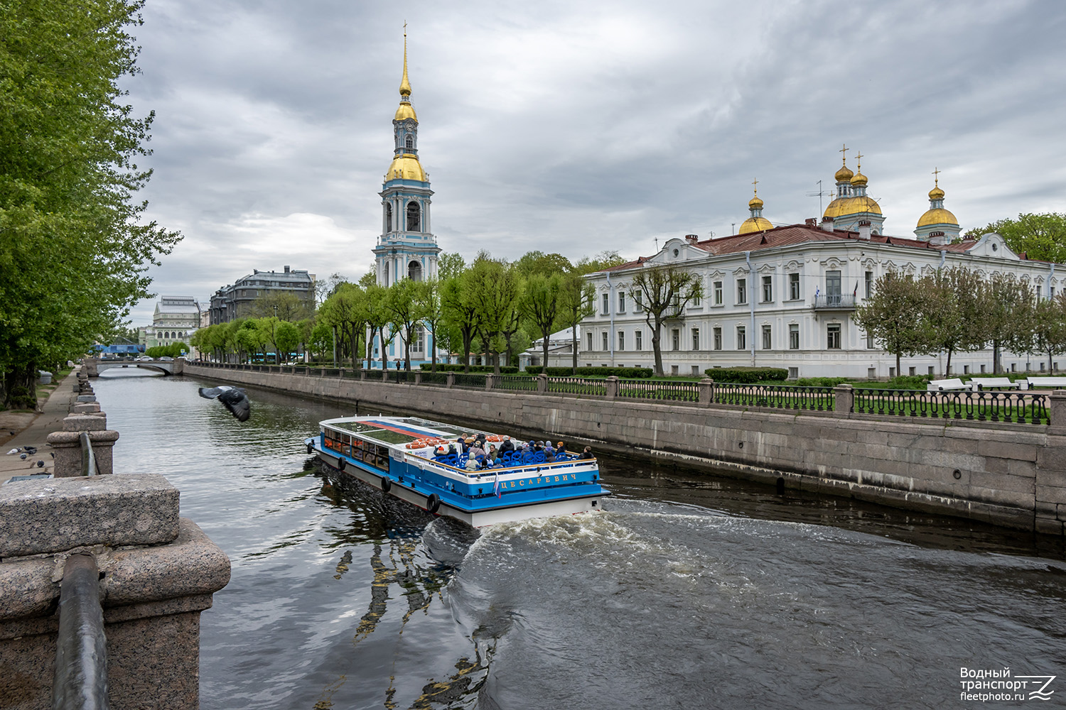 Цесаревич