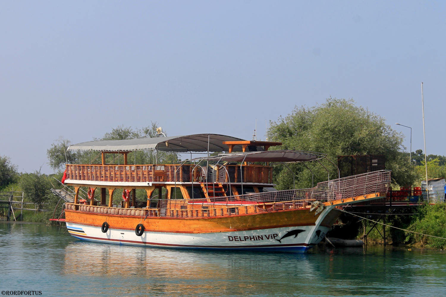 Delphin ViP