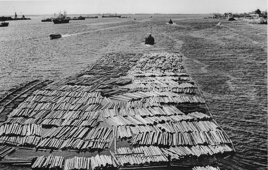 Архангельская область, Книги, фотоальбомы и периодические издания