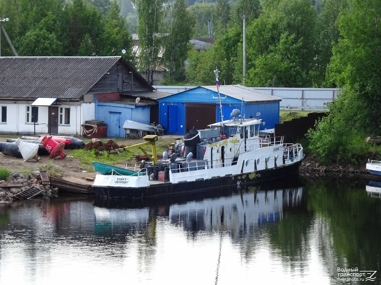 Кулик