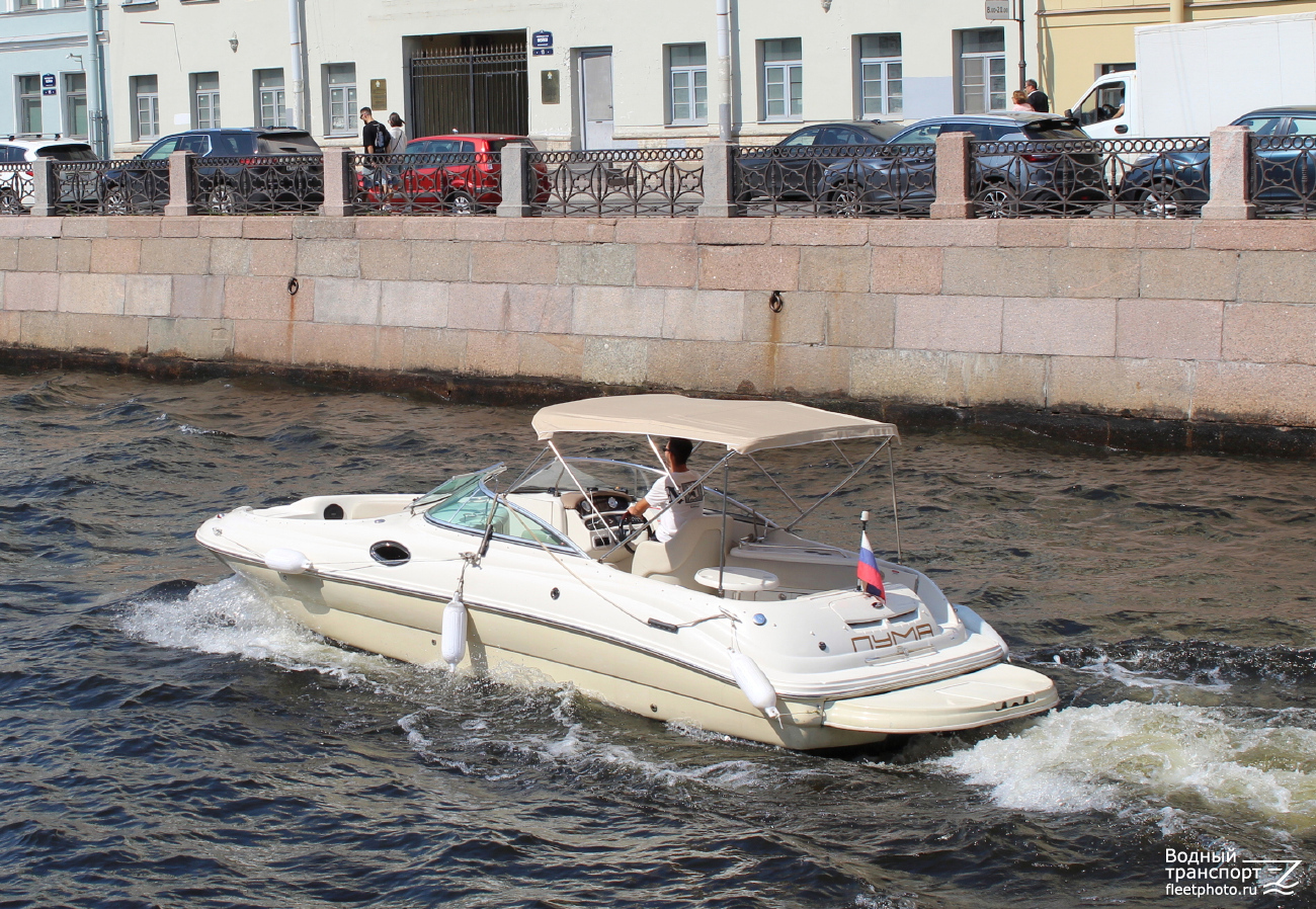 Пума
