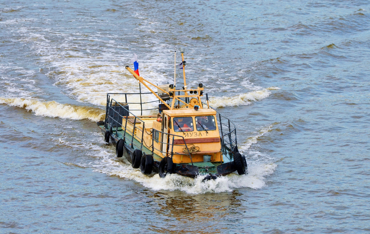 Яуза-1