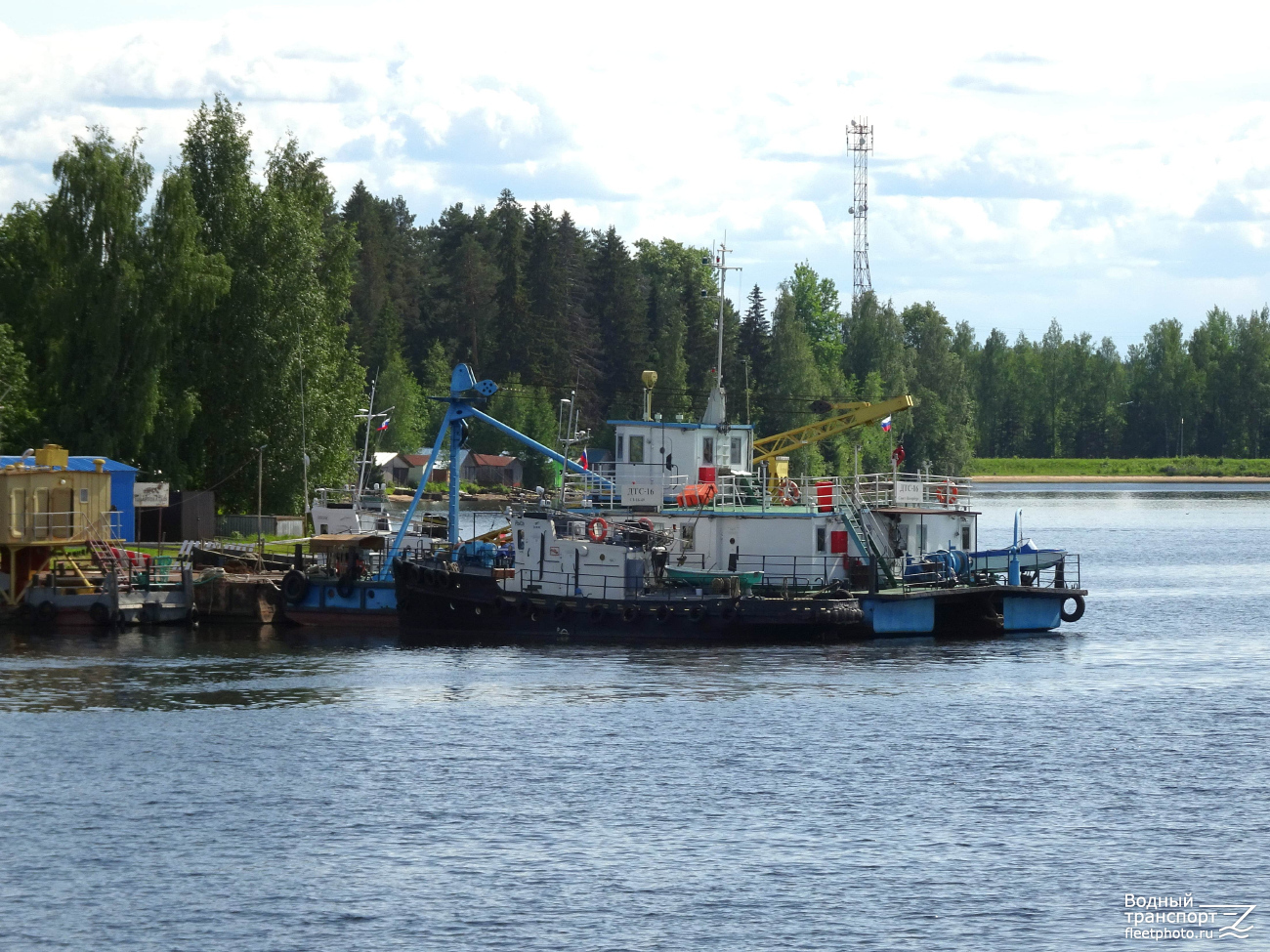 Рысь, ДТС-16