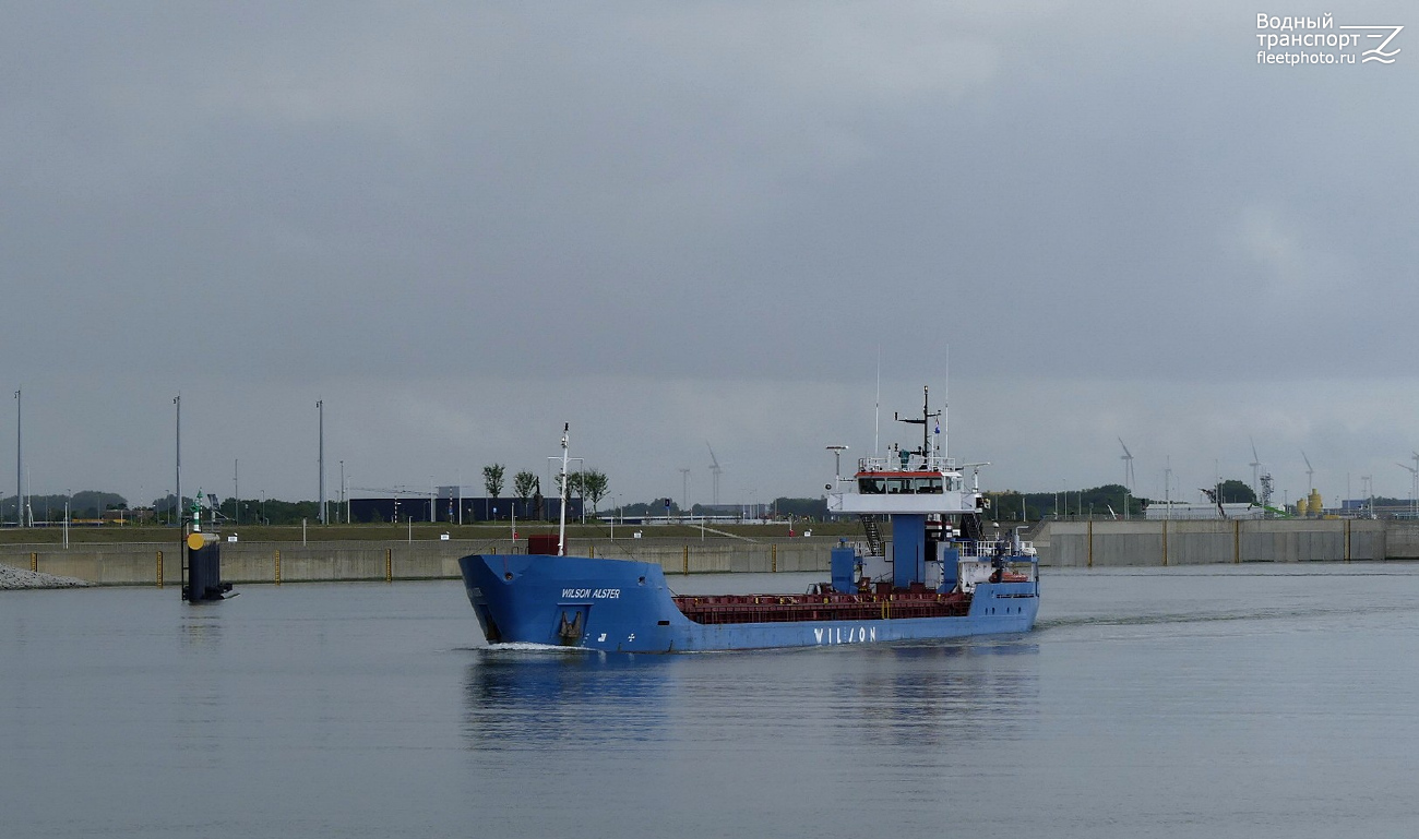 Wilson Alster