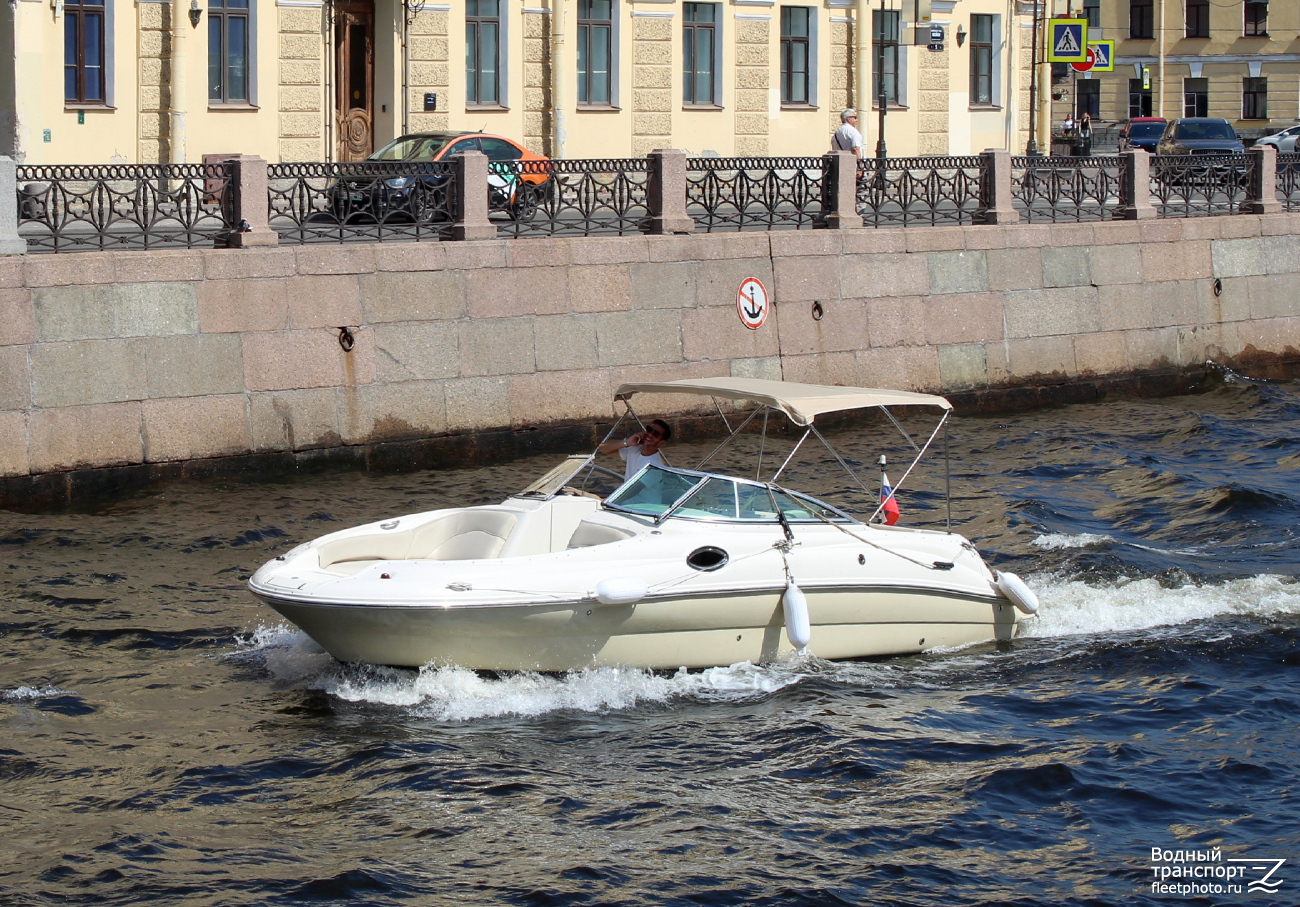 Пума