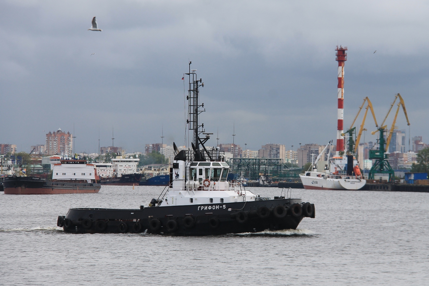 Грифон-5
