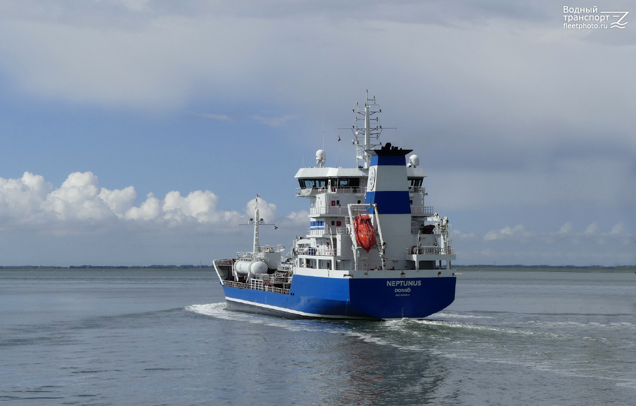 Neptunus