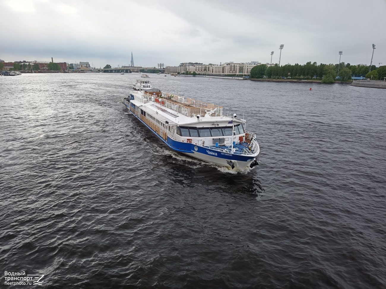 Чайка