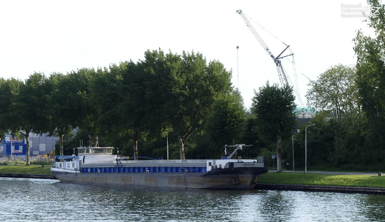Saratoga