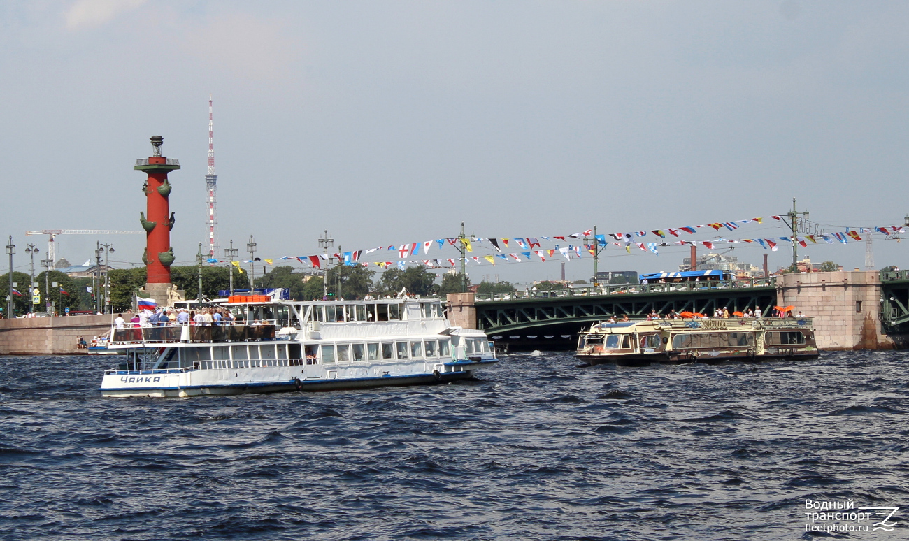 Чайка, Ряпушка