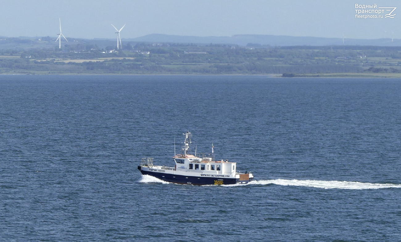 Fastnet Puffin