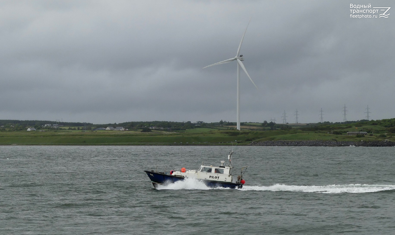 Loop Head