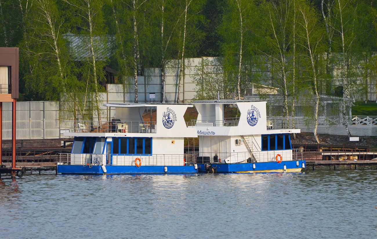 Мечтатель, Мишель