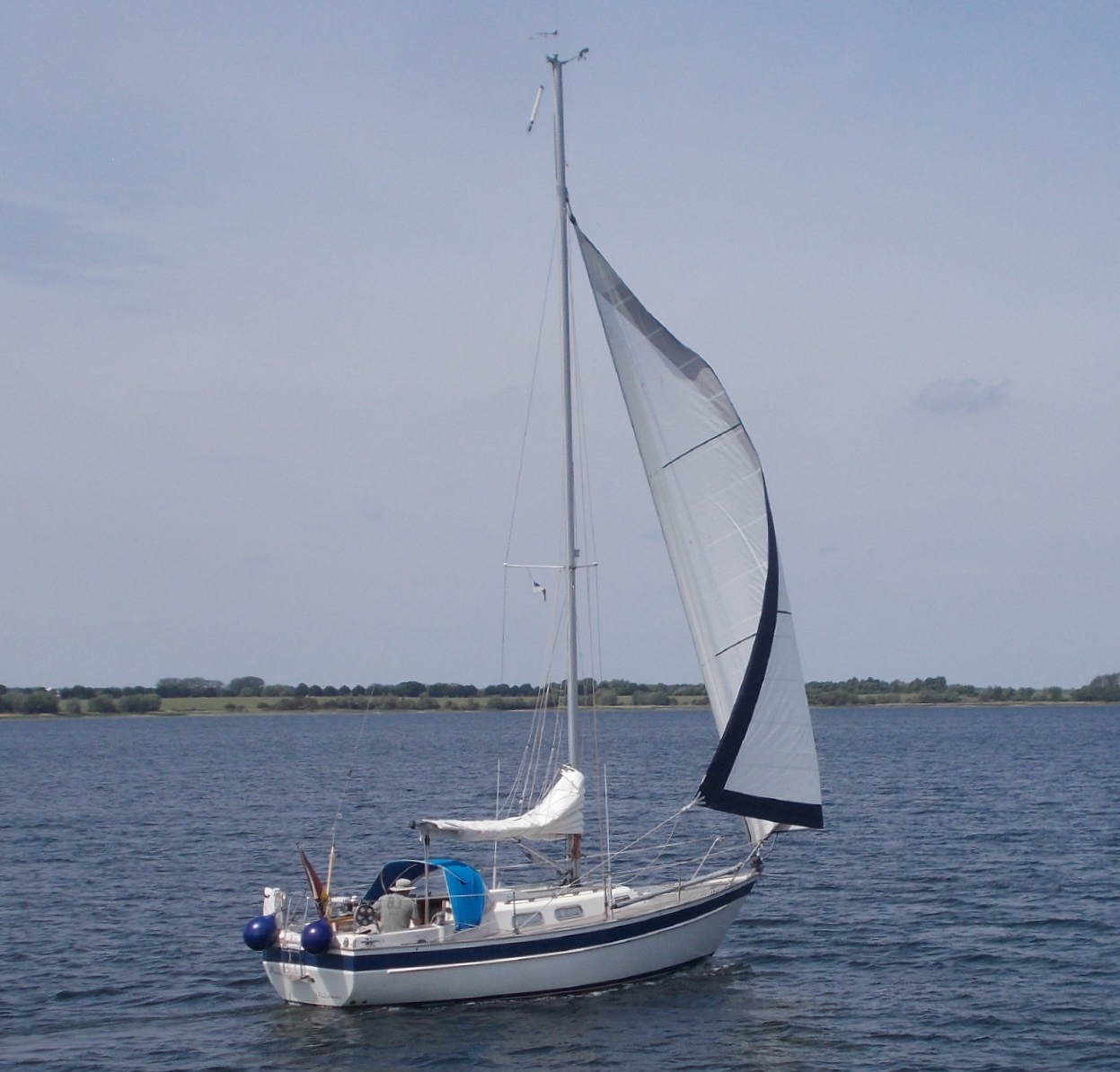 Anni
