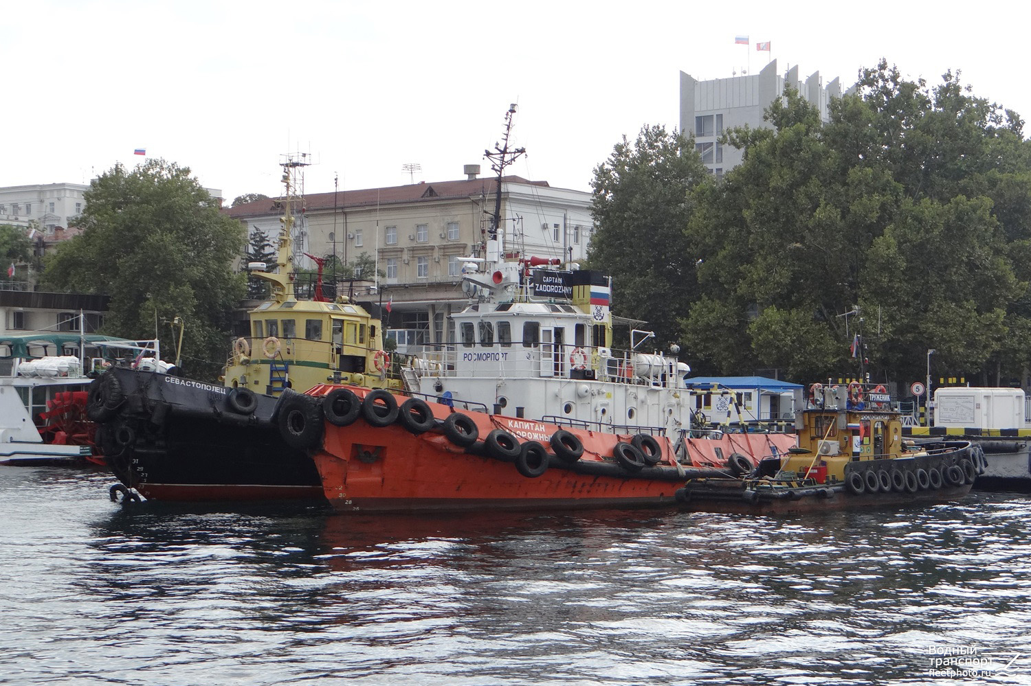 Севастополец, Капитан Задорожный, Труженик