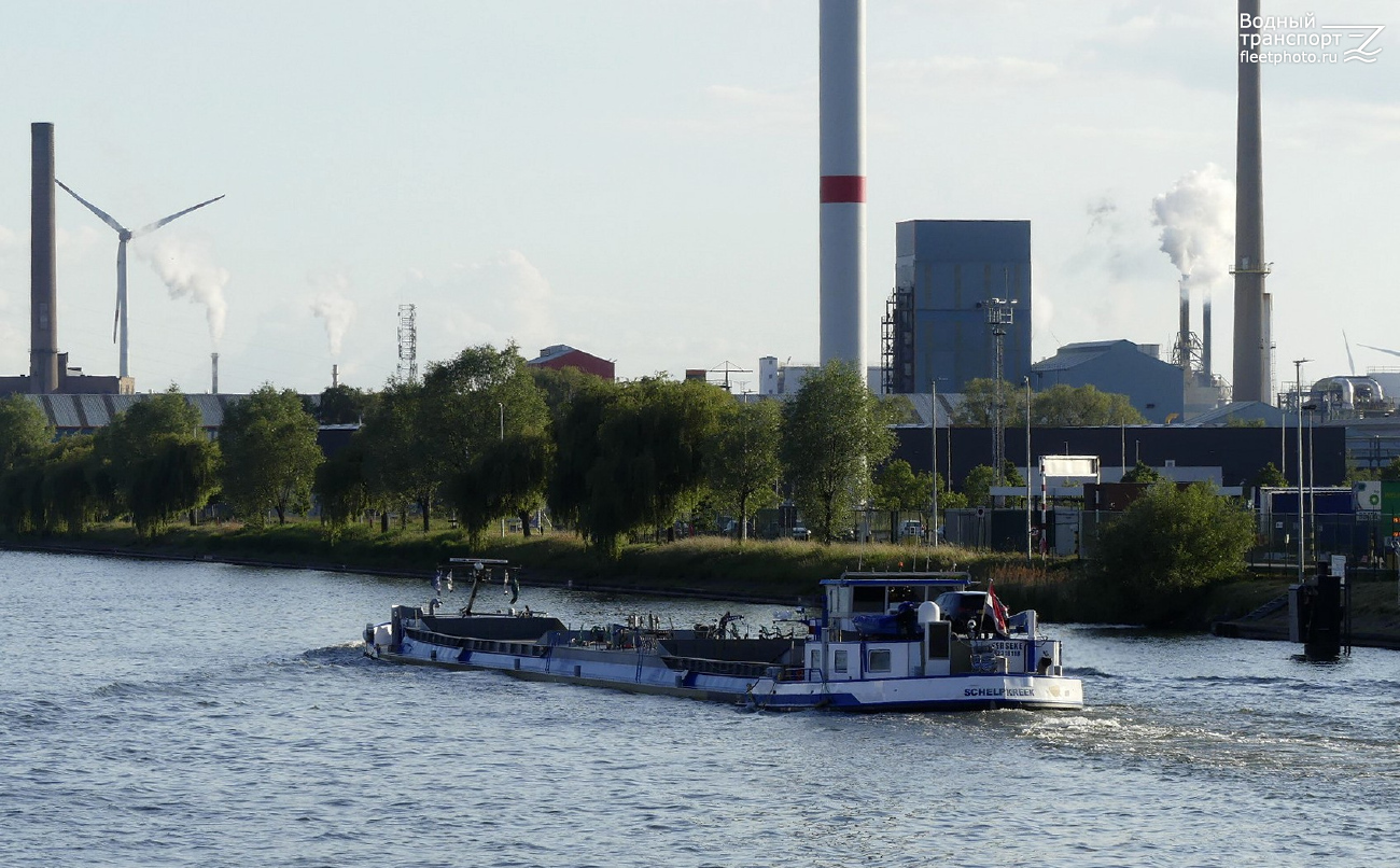 Schelpkreek