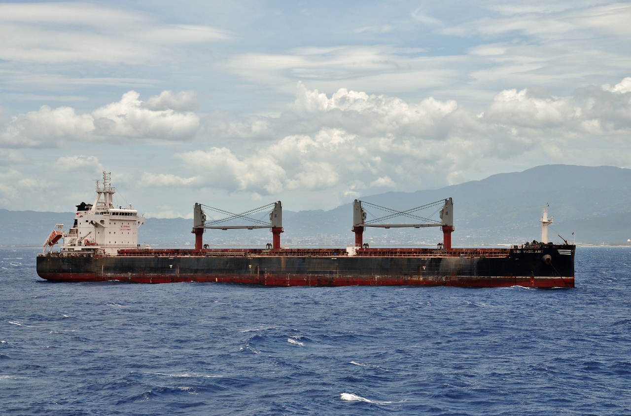 SSI Vigilant