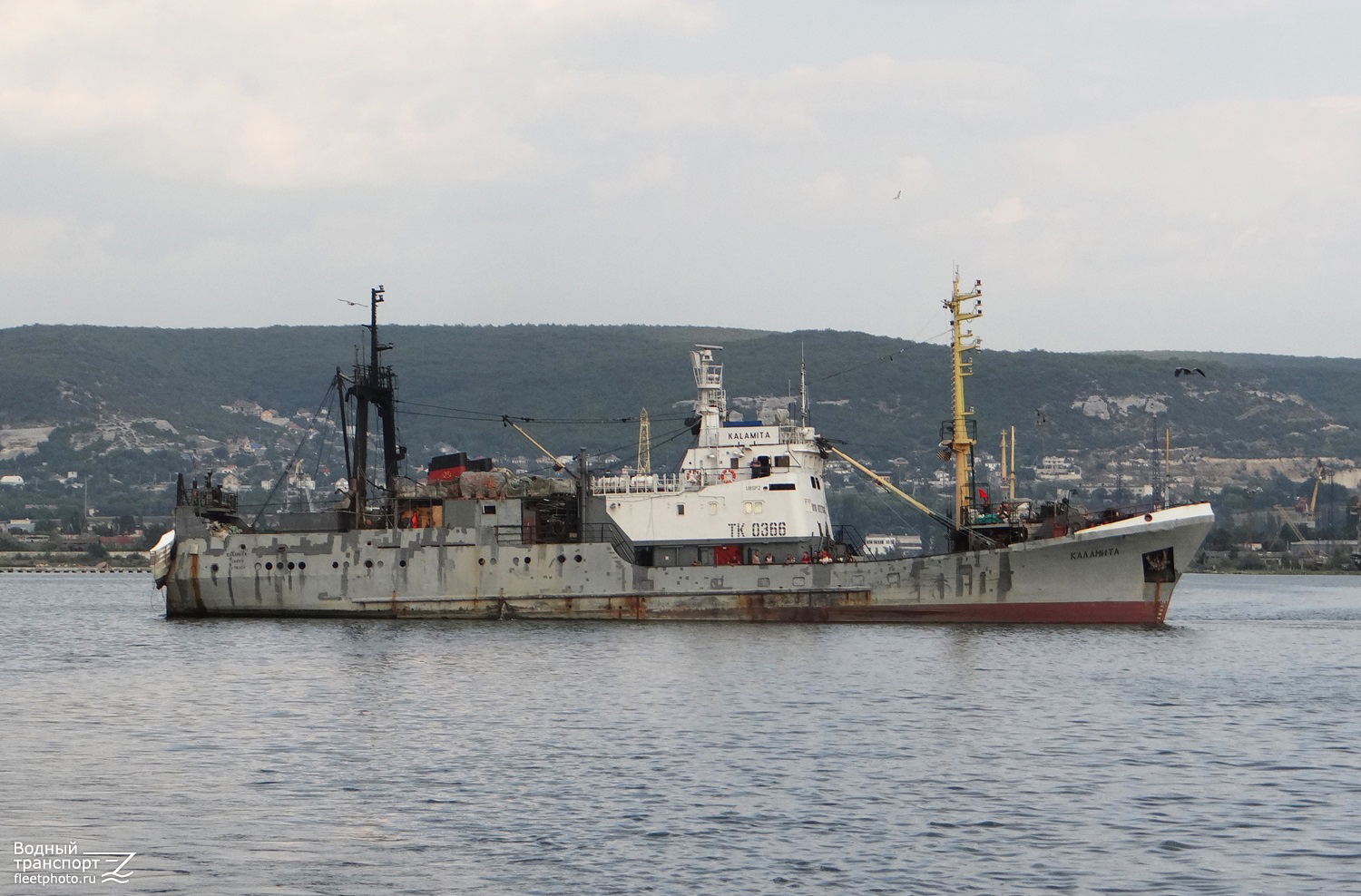 Каламита