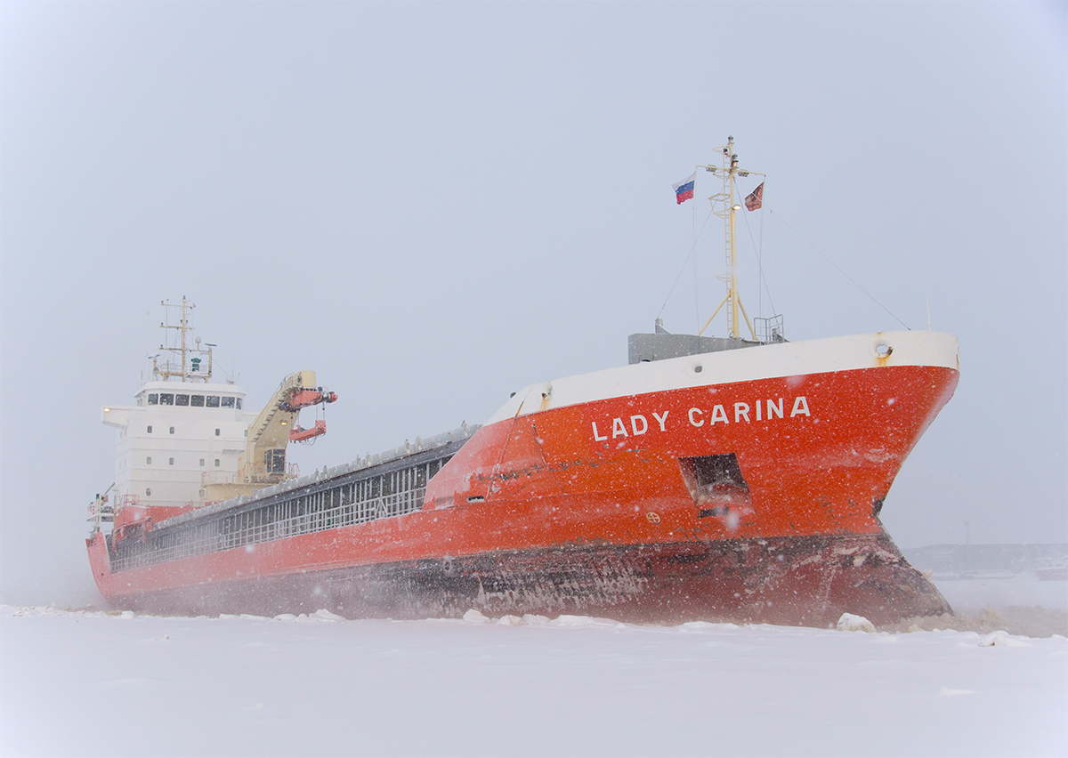 Lady Carina
