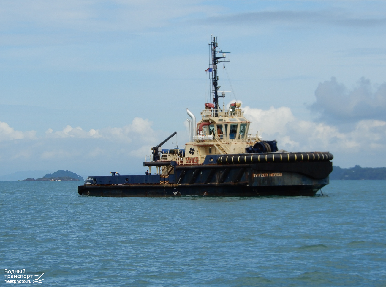 Svitzer Nereid