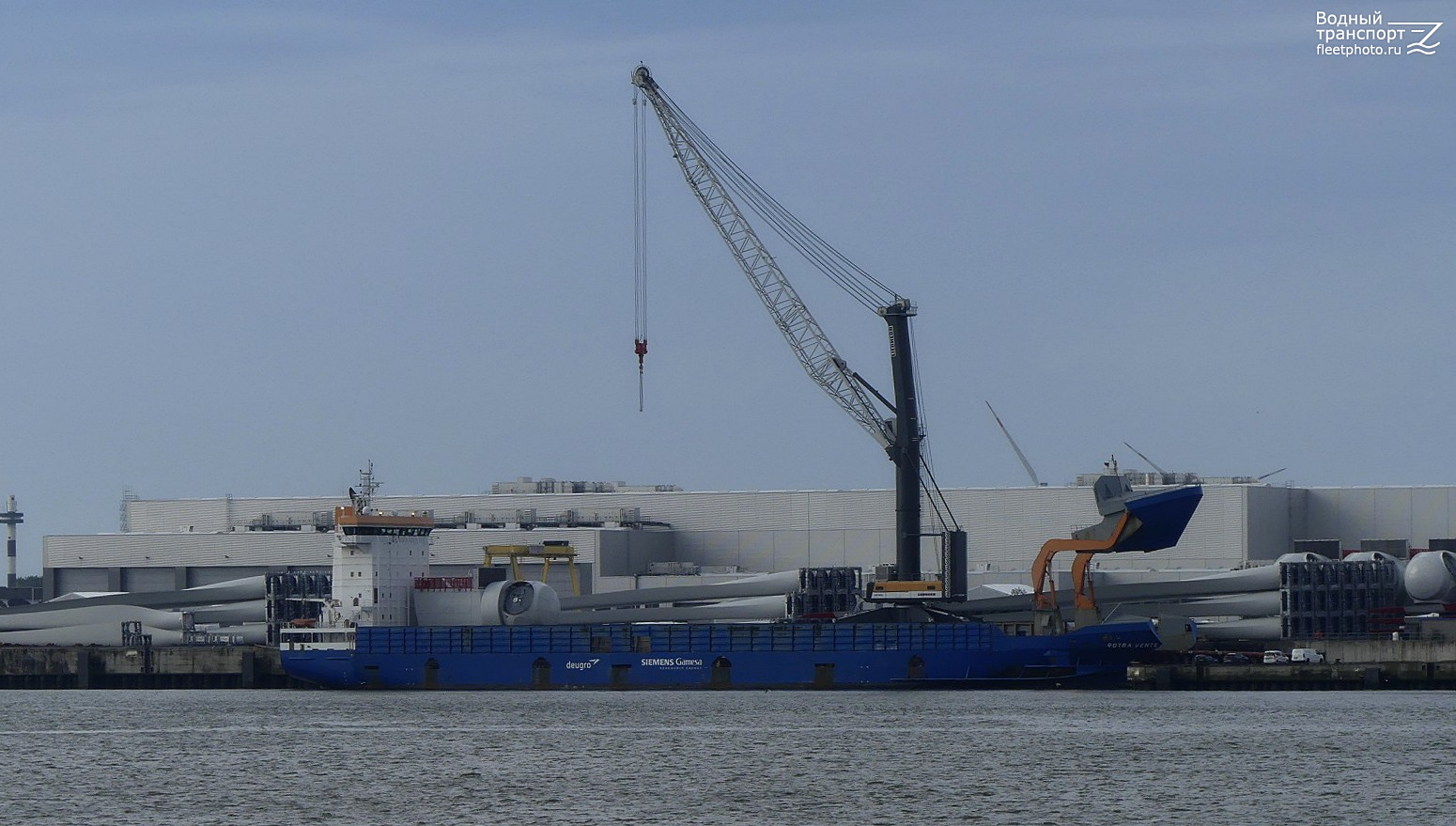 Rotra Vente
