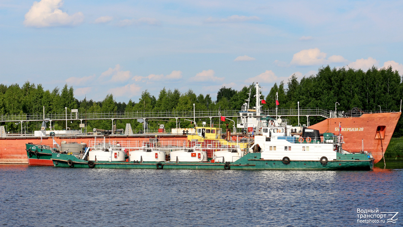 ТНМ-24