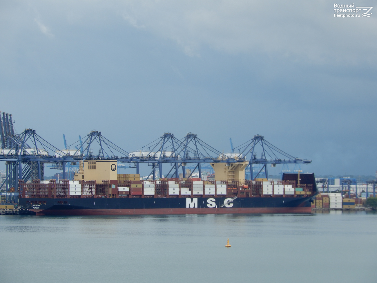 MSC Edna